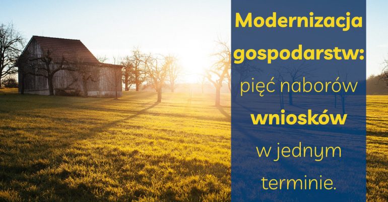 Modernizacja gospodarstw: pięć naborów wniosków w jednym terminie