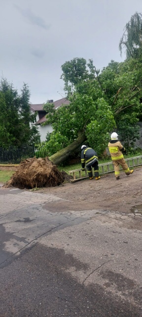 Szkody nawałnice