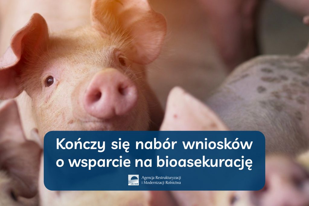 Kończy się nabór wniosków o wsparcie na bioasekurację - informacja prasowa