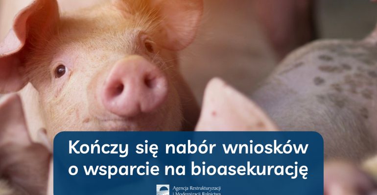Kończy się nabór wniosków o wsparcie na bioasekurację - informacja prasowa