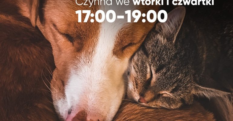 Pomóż przetrwać zimę