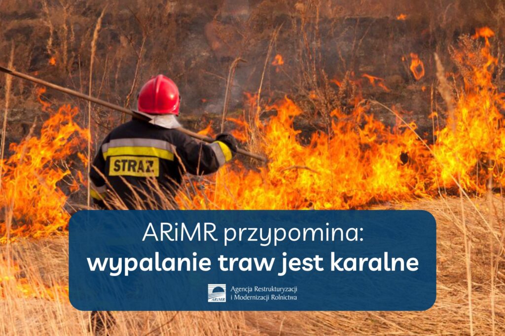 Wypalanie traw i nieużytków rolnych niebezpieczne i karalne - informacja prasowa
