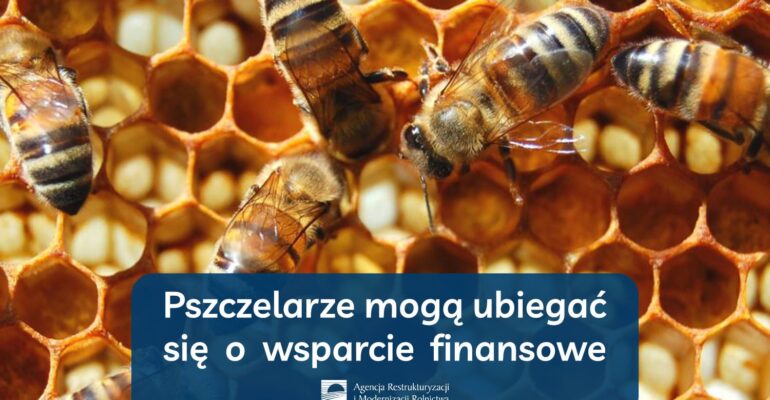 Pszczelarze mogą już ubiegać się o wsparcie finansowe
