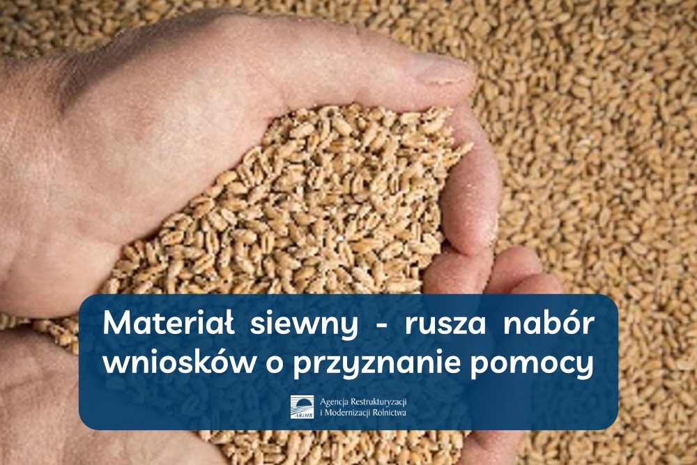 Materiał siewny - rusza nabór wniosków o przyznanie pomocy