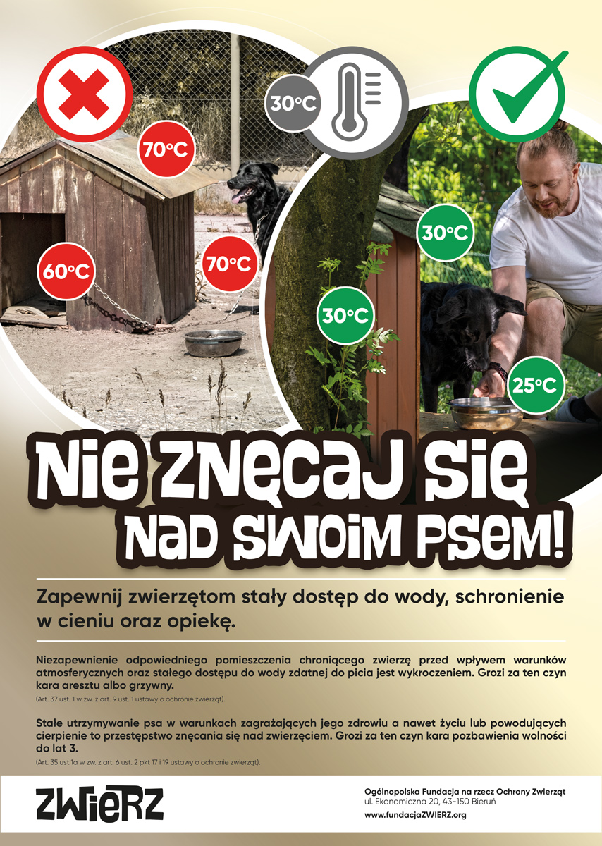 Pies czuje tak jak Ty!