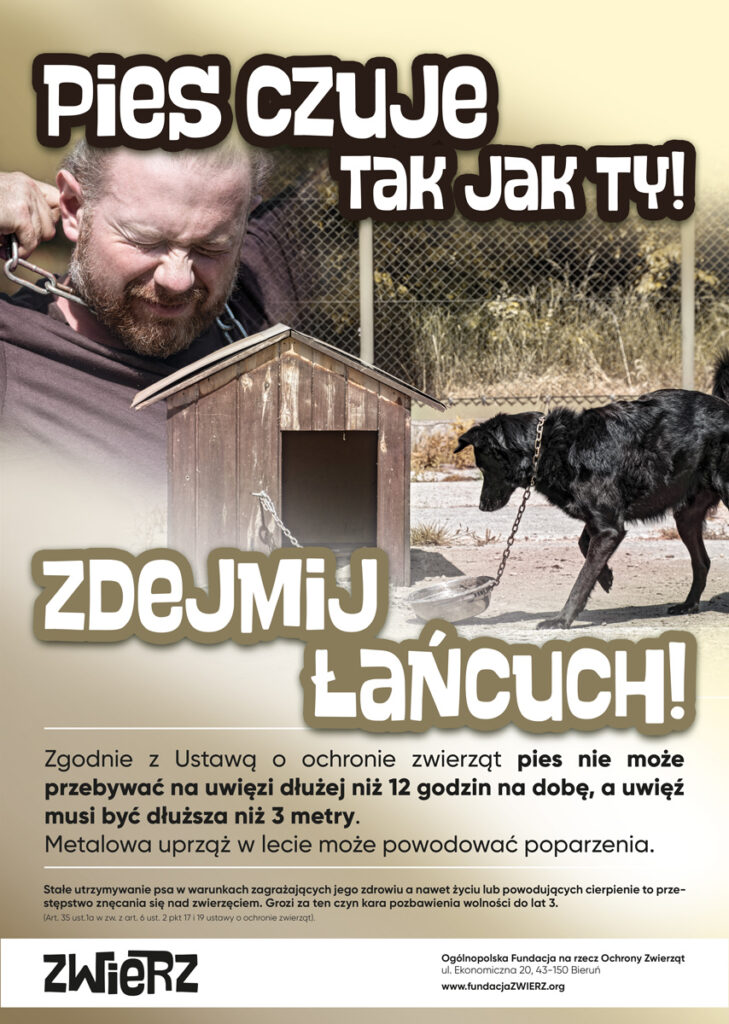 ZWIERZ lato