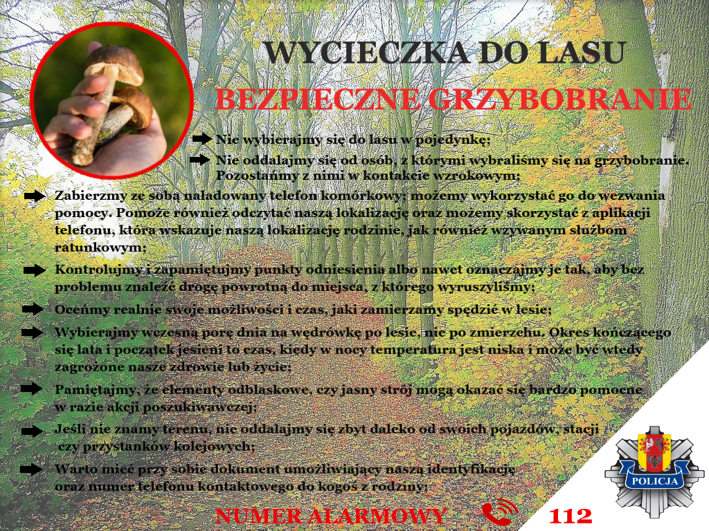 BEZPIECZNE GRZYBOBRANIE
