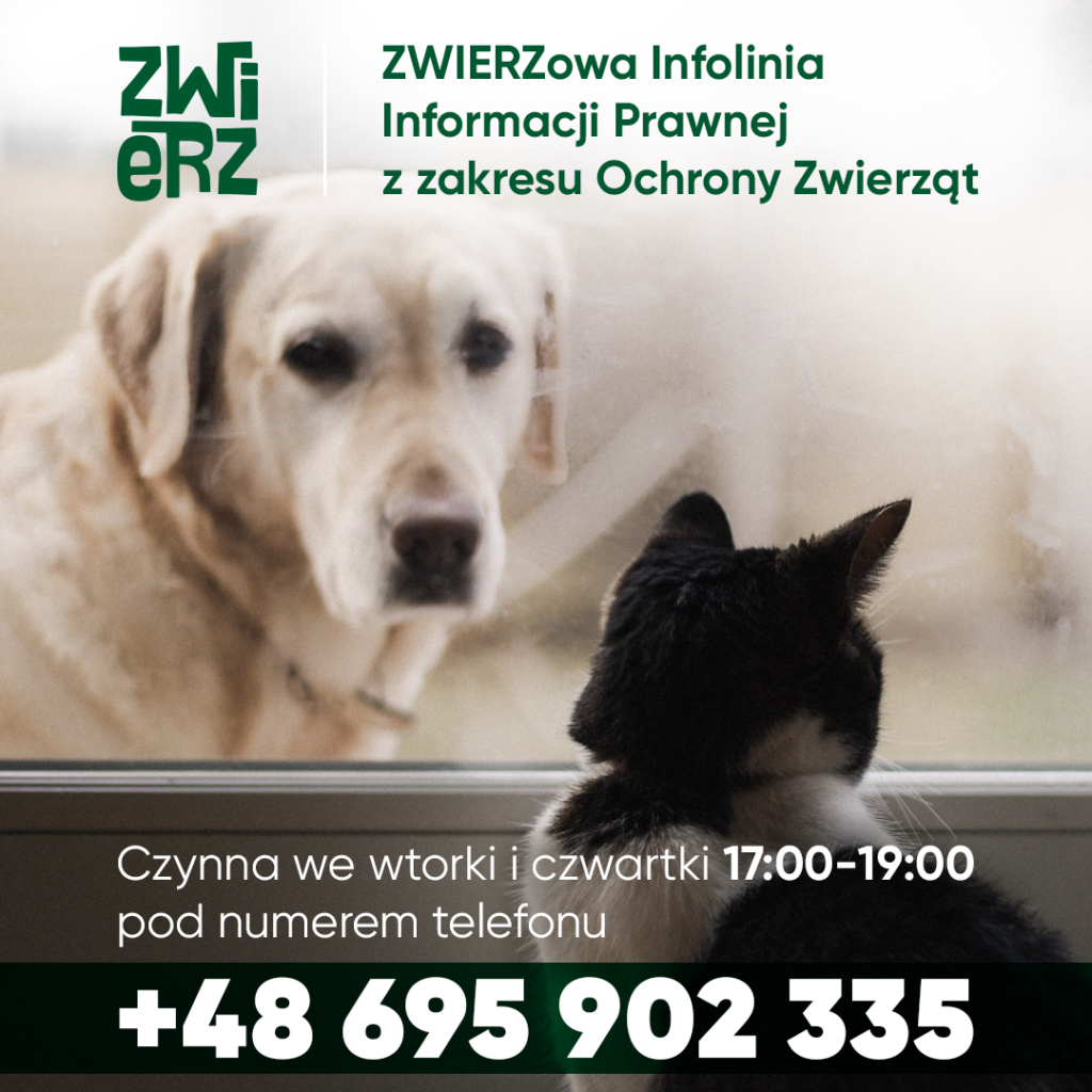 Infolinia Informacji Prawnej z zakresu Ochrony Zwierząt