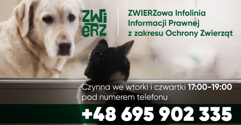 Infolinia Informacji Prawnej z zakresu Ochrony Zwierząt