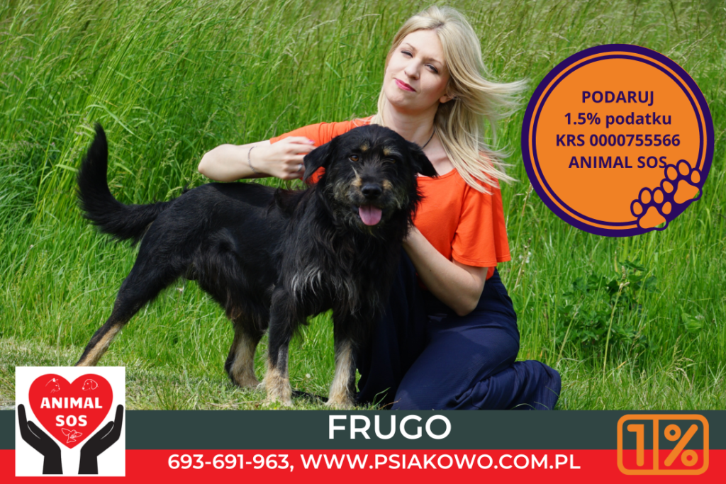 Frugo