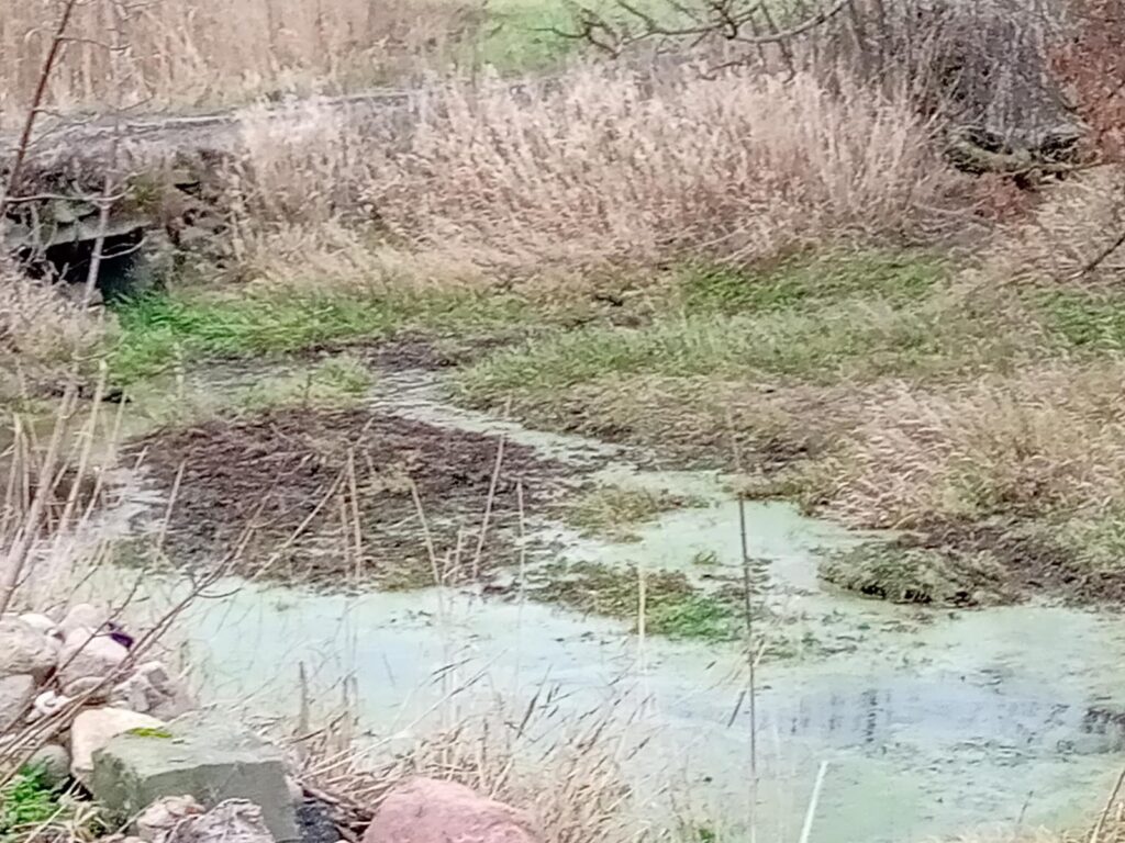 foto zbiornik KAMILEW