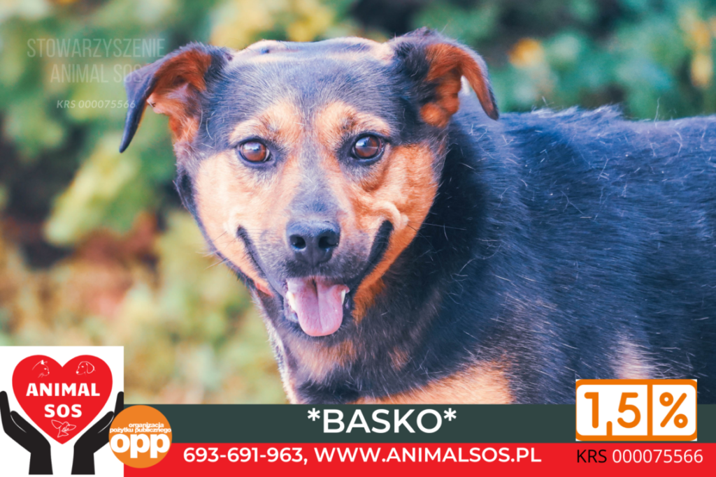 BASKO