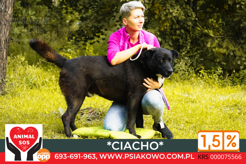 CIACHO