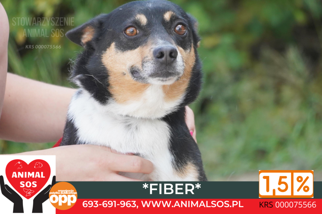 FIBER