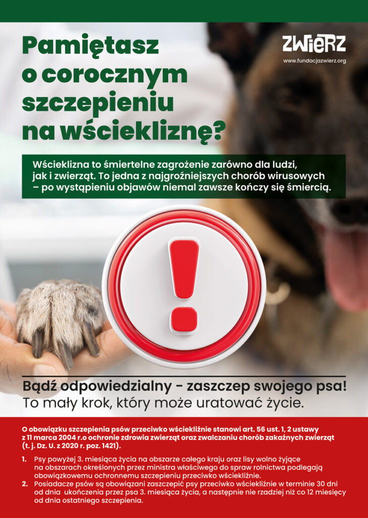 Fundacja ZWIERZ przypomina o realnym zagrożeniu, jakie niesie ze sobą wścieklizna – jedna   z najniebezpieczniejszych chorób wirusowych, która może dotknąć wszystkie gatunki ssaków,  w tym ludzi. Choroba atakuje ośrodkowy układ nerwowy, a po wystąpieniu objawów niemal zawsze kończy się śmiercią.
Do zakażenia dochodzi najczęściej przez kontakt śliny zakażonego zwierzęcia z uszkodzoną skórą lub błonami śluzowymi. W Polsce głównym rezerwuarem wirusa są lisy rude, ale zagrożenie mogą stanowić również nietoperze, psy, koty i inne dzikie zwierzęta.
Szczepienie psów przeciwko wściekliźnie jest obowiązkowe – każdy pies powyżej 3. miesiąca życia musi zostać zaszczepiony w ciągu 30 dni, a następnie regularnie co roku. Brak szczepienia to nie tylko ryzyko zdrowotne, ale i mandat dla opiekuna.
Fundacja ZWIERZ rozesłała do wszystkich gmin w Polsce bezpłatne plakaty informacyjne o wściekliźnie, zachęcając do ich udostępniania i zwiększania świadomości wśród mieszkańców. Urzędy proszone są o sprawdzenie skrzynek mailowych.
W przypadku pogryzienia przez zwierzę:
●	dokładnie przemyj ranę wodą z mydłem,

●	jak najszybciej skontaktuj się z lekarzem – możliwe będzie zastosowanie szczepień poekspozycyjnych.
Objawy wścieklizny
U zwierząt choroba może przebiegać w formie:
• szałowej – zwierzęta stają się agresywne, atakują bez powodu, mają trudności z przełykaniem i nadmiernie się ślinią, cierpią na światłowstręt, boją się wody i dotyku, a także mają przekrwione oczy,
• cichej – postępujące porażenia kończyn, śmierć w wyniku niewydolności oddechowej.
Wścieklizna to śmiertelne zagrożenie dla zwierząt i ludzi, któremu można zapobiec. Profilaktyka i szybka reakcja ratują życie.
Bądź odpowiedzialny - zaszczep swojego psa!
