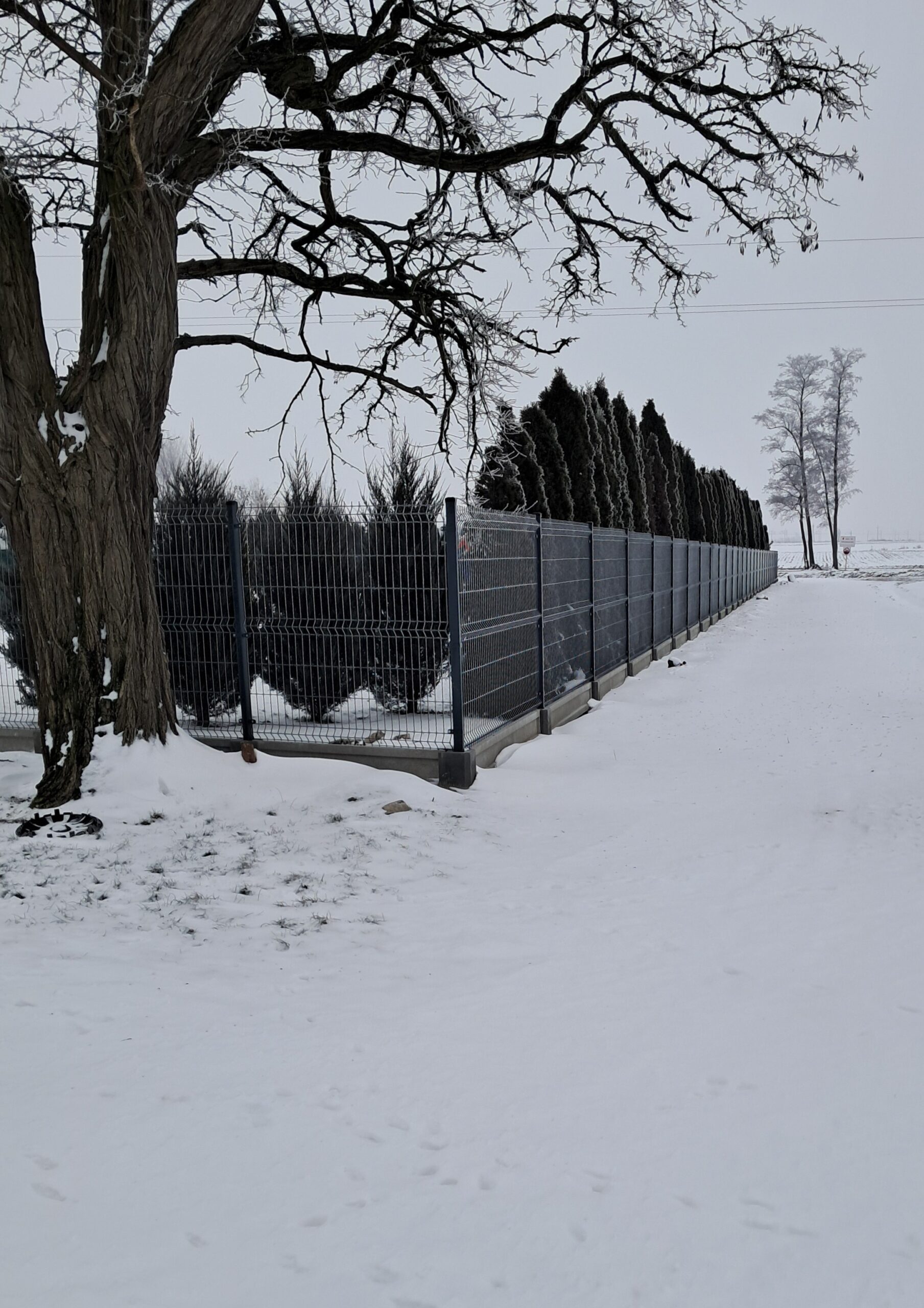 GRANTY SOŁECKIE